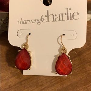 Charming Charlie Holiday earrings